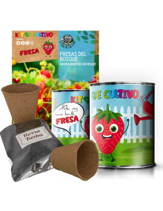 Kit Huerto Infantil Fresa en Lata