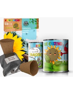 Kit Huerto Infantil Girasol en Lata