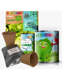 Kit Huerto Infantil Lechuga en Lata