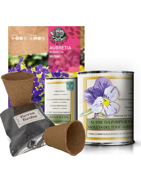 Kit Cultivo Aubretia Púrpura Violeta del Teide en Lata