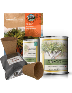 Kit Cultivo Drago en Lata