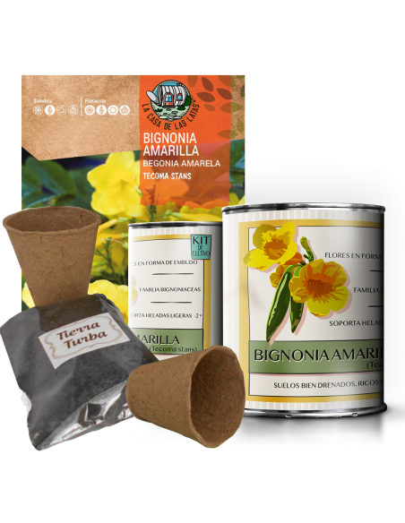 Kit Cultivo Bignonia Amarilla en Lata