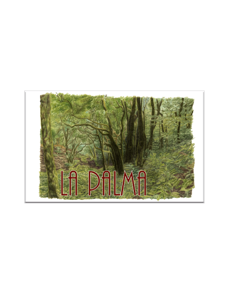 Imanes Canarias