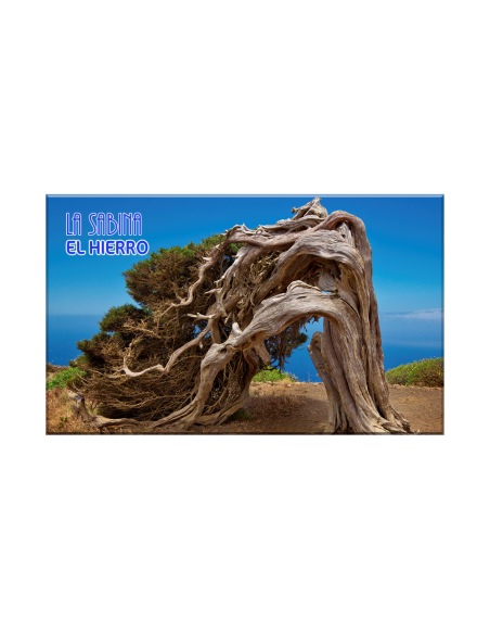 Imanes Canarias