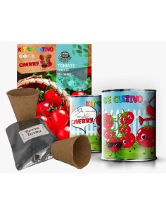 Kit Huerto Infantil Tomate Cherry en Lata