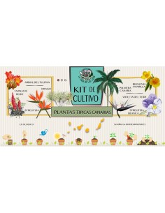Kit Cultivo Canarias en lata Cartel